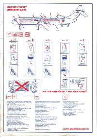 393s_egretta_il62_1_back